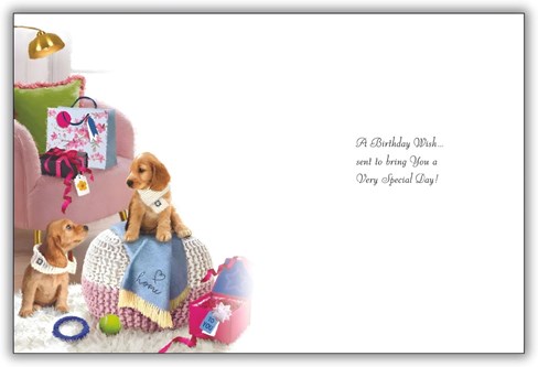 Jonny Javelin Open Female Birthday Card - Puppies Pink Chair & Flowers 7.25x5.5" Jonny Javelin Open Female Birthday Card - Puppies Pink Chair & Flowers 7.25x5.5"