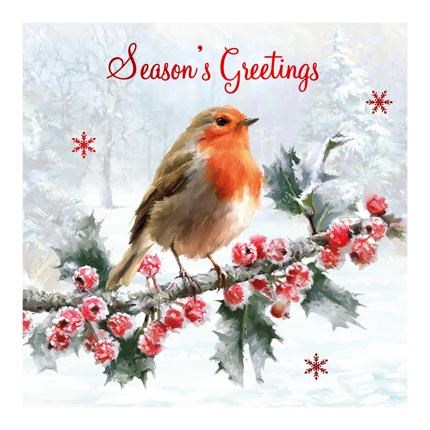 Pack of 12 Scenic Square Christmas Cards - Robins and Holly with Red Foil Pack of 12 Scenic Square Christmas Cards - Robins and Holly with Red Foil