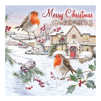 Pack of 12 Scenic Square Christmas Cards - Robins and Holly with Red Foil Pack of 12 Scenic Square Christmas Cards - Robins and Holly with Red Foil