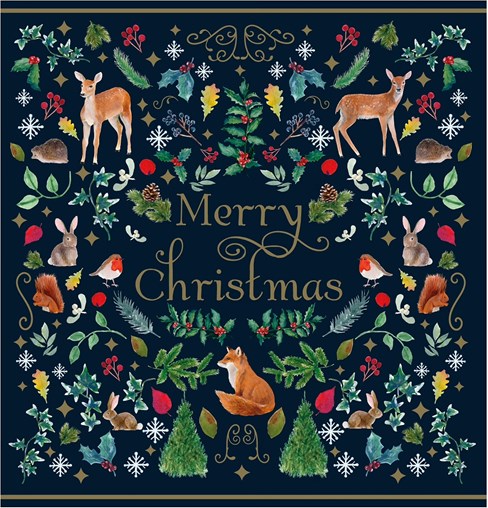 Box of 30 Family Christmas Cards - 6 Assorted Cute Traditional Designs Box of 30 Family Christmas Cards - 6 Assorted Cute Traditional Designs