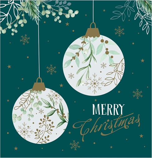 Box of 30 Family Christmas Cards - 6 Assorted Cute Traditional Designs Box of 30 Family Christmas Cards - 6 Assorted Cute Traditional Designs