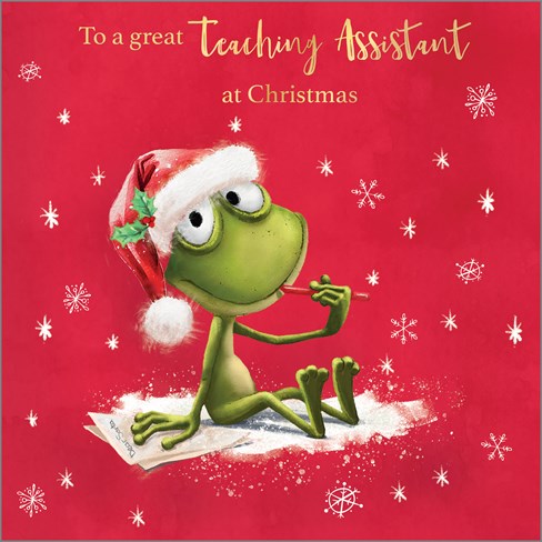 Box of 32 Christmas Cards - School Pack inc Teacher & Teaching Assistant Box of 32 Christmas Cards - School Pack inc Teacher & Teaching Assistant
