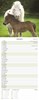 2027 Slim Month To View Spiral Bound Horse Photo Wall Calendar - Ponies