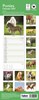 2027 Slim Month To View Spiral Bound Horse Photo Wall Calendar - Ponies