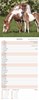 2027 Slim Month To View Spiral Bound Horse Photo Wall Calendar - Foals