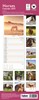 2027 Slim Month To View Spiral Bound Horse Photo Wall Calendar - Horses