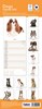 2027 Slim Month To View Spiral Bound Dog Photo Wall Calendar Dogs