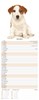 2027 Slim Month To View Spiral Bound Dog Photo Wall Calendar Dogs