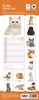 2027 Slim Month To View Spiral Bound Cat Photo Wall Calendar - Cats