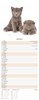 2027 Slim Month To View Spiral Bound Cats Photo Wall Calendar - Kittens