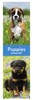 2027 Super Slim Month To View Spiral Bound Animal Photo Wall Calendar - Puppies
