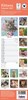 2027 Super Slim Month To View Spiral Bound Animal Photo Wall Calendar - Kittens