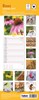 2027 Slim Month To View Spiral Bound Photo Wall Calendar - Bees & Flowers