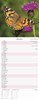 2027 Slim Month To View Spiral Bound Photo Wall Calendar - Flowers & Butterflies