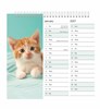 2027 Spiral Bound Wiro Flip Desk Top Cat Photo Calendar - Cute Kittens