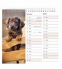 2027 Spiral Bound Wiro Flip Desk Top Dog Photo Calendar - Cute Puppies