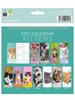 2027 Spiral Bound Wiro Flip Desk Top Cat Photo Calendar - Cute Kittens