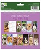 2027 Spiral Bound Wiro Flip Desk Top Dog Photo Calendar - Cute Puppies