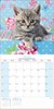 2027 Square Month To View Animal Cat Photo Wall Calendar - Kittens