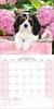 2027 Square Month To View Animal Dog Photo Wall Calendar - Puppies
