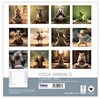 2025 Square Month To View Spiral Bound Animal Photo Wall Calendar - Yoga Animals