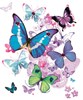 Traditional Female Wrapping Paper & 1 Sheet & Matching Gift Tag - Butterflies