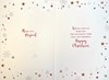 Cousin Christmas Card - Red, Yellow & Green Writing with Gold Foil 7.5x5.5"