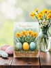 Happy Easter Card - Daffodil Flowers and Painted Eggs with Gold Foil 7x5"