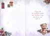 Cousin Christmas Card - Cute Bear & Robin on Rose Garland Gold Foil 7.5x5.25