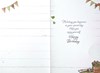 6 x Birthday Cards Assorted Multipack Male Various Designs 7.75x5.25"