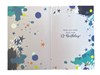 Age 12 Boy 12th Birthday Card - Blue with Paint Splash & Silver Foil 7.75x5.25"