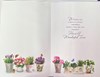 Open Female Birthday Card - Plants Herbs & Butterflies with Silver Foil 9x6"