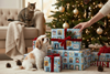 8m Christmas Gift Wrapping Paper 2x4m Roll - Santa Paws Cats and Dogs