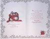 Special Couple Christmas Card Penguins in Red Scarf Silver Glitter Red Foil 9x6"