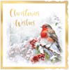 Box Of 12 Scenic Premium Inserted Christmas Cards - Robin on Holly Branch
