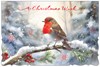 Box of 12 Large Christmas Cards - Robin on Holly Branch in Snow with Red Foil