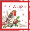 Box Of 12 Scenic Premium Inserted Christmas Cards - Robin on Holly Branch Foil