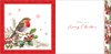 Box Of 12 Scenic Premium Inserted Christmas Cards - Robin on Holly Branch Foil