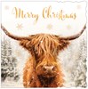 Box Of 12 Scenic Premium Inserted Christmas Cards - Highland Cow Snow Blizzard