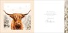 Box Of 12 Scenic Premium Inserted Christmas Cards - Highland Cow Snow Blizzard