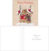 Bumper Box of 50 Family Christmas Cards - 10 Assorted Cute Traditional Designs
