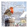 Pack of 12 Scenic Square Christmas Cards - Robin and Holly with Silver Foil