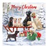 Pack of 12 Scenic Square Christmas Cards - Dogs Xmas Tree & Sleigh with Red Foil