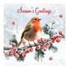 Pack of 12 Scenic Square Christmas Cards - Robins and Holly with Red Foil
