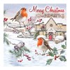 Pack of 12 Scenic Square Christmas Cards - Robins and Holly with Red Foil