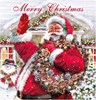 Box of 30 Family Christmas Cards - 6 Assorted Cute Traditional Designs