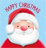 Box of 30 Family Christmas Cards - 6 Assorted Cute Traditional Designs