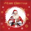 Box Of 24 Scenic Foiled Christmas Cards - 2 Designs - Santa and Gifts Gold Foil