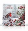 Pack of 12 Square Scenic Christmas Cards - Robin & Deer in Snow with Glitter