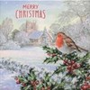 Pack of 12 Square Scenic Christmas Cards - Robin Holly & Church in Snow Glitter